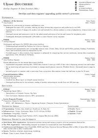 English CV Preview